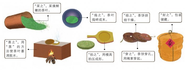 唐代的蒸青饼茶是怎么做出来的的？加工工序是什么？